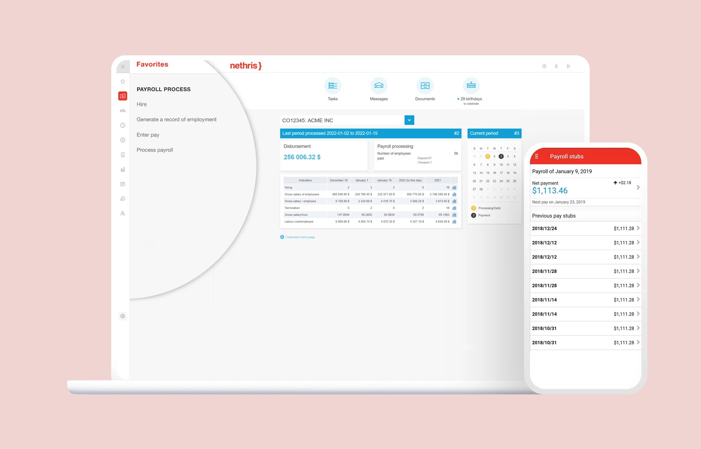 Nethris payroll software