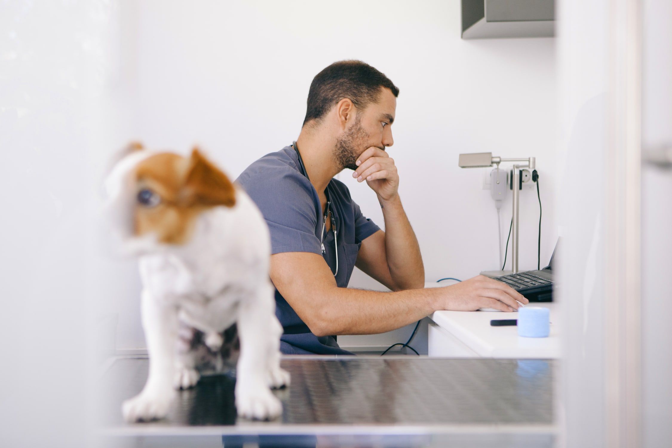 Homme assis à son poste de travail durant une consultation avec un chien