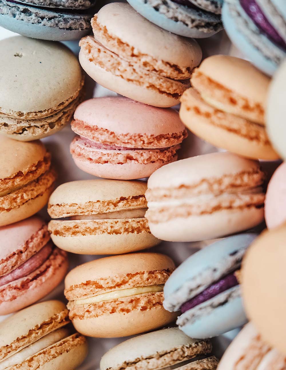 Gros plan sur des macarons